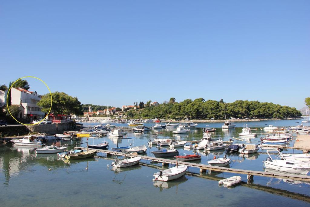 Vanda Seafront Superior Кавтат Екстериор снимка